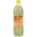 Schweppes Citrus - 1 Bottle (500ml)